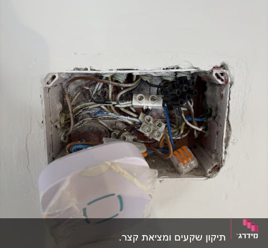 תיבת חיבורים חשמלית עם חוטים מחוברים